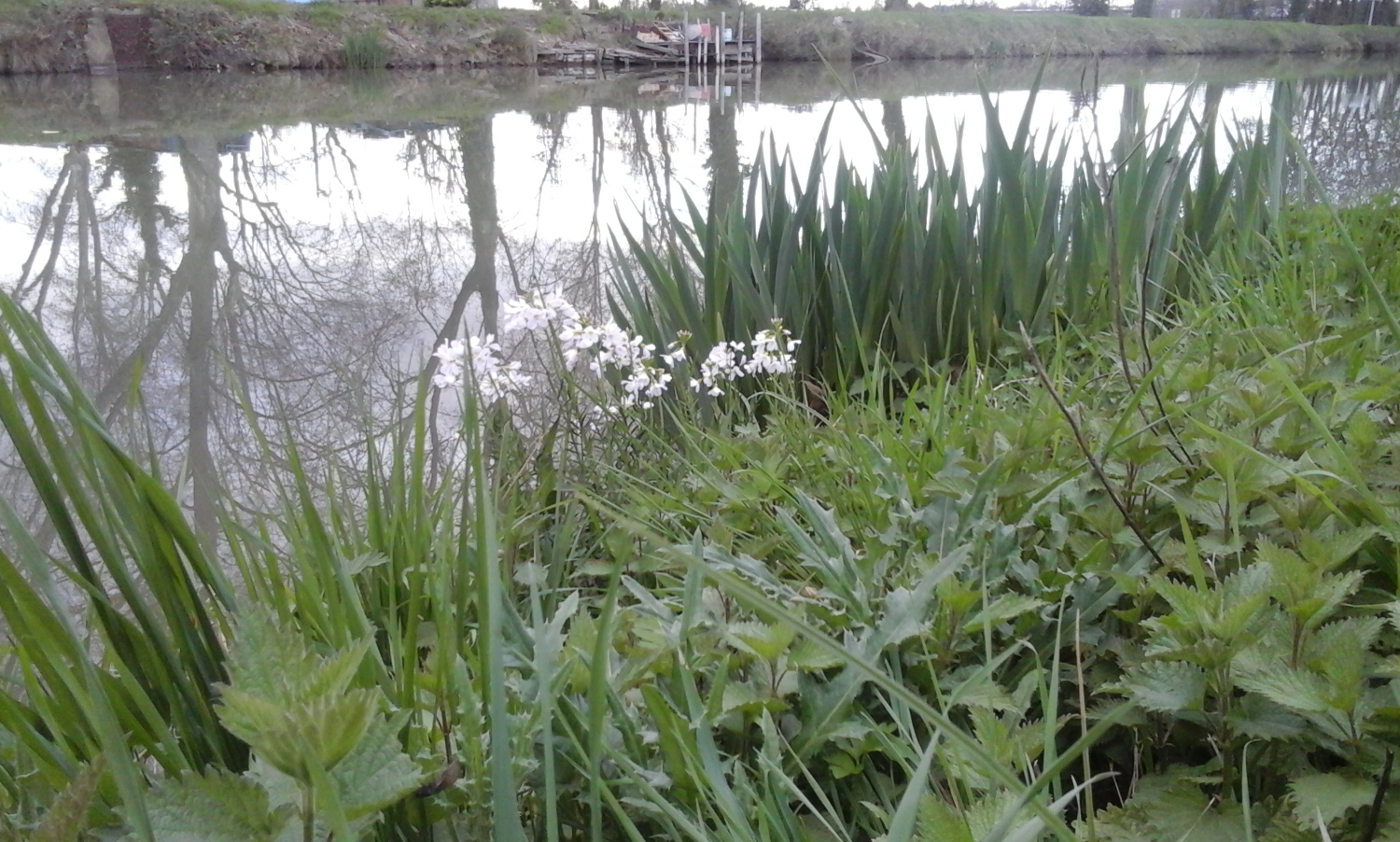 Annexe Berges du Canal latéral à Toulouse.jpg