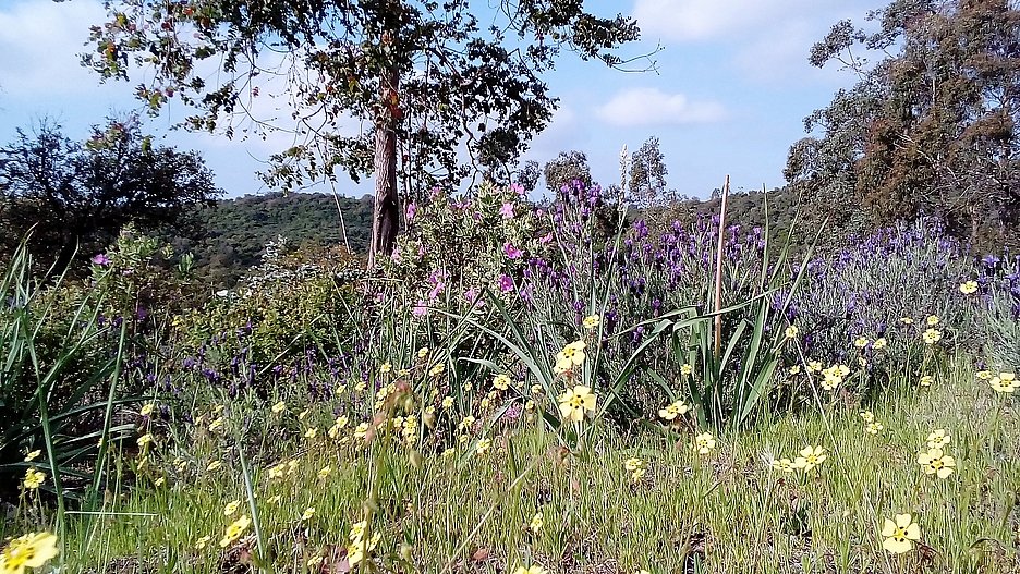 Annexe 20170413_094636-2.jpg