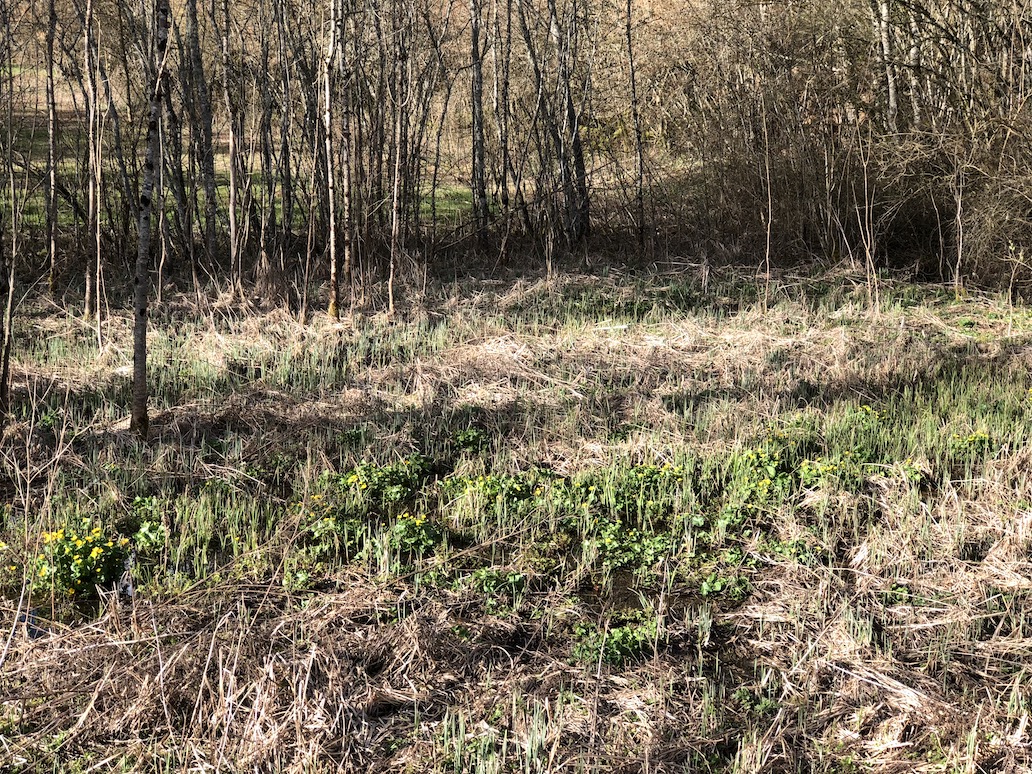 Annexe Entrée de la Combe au vieux..jpg