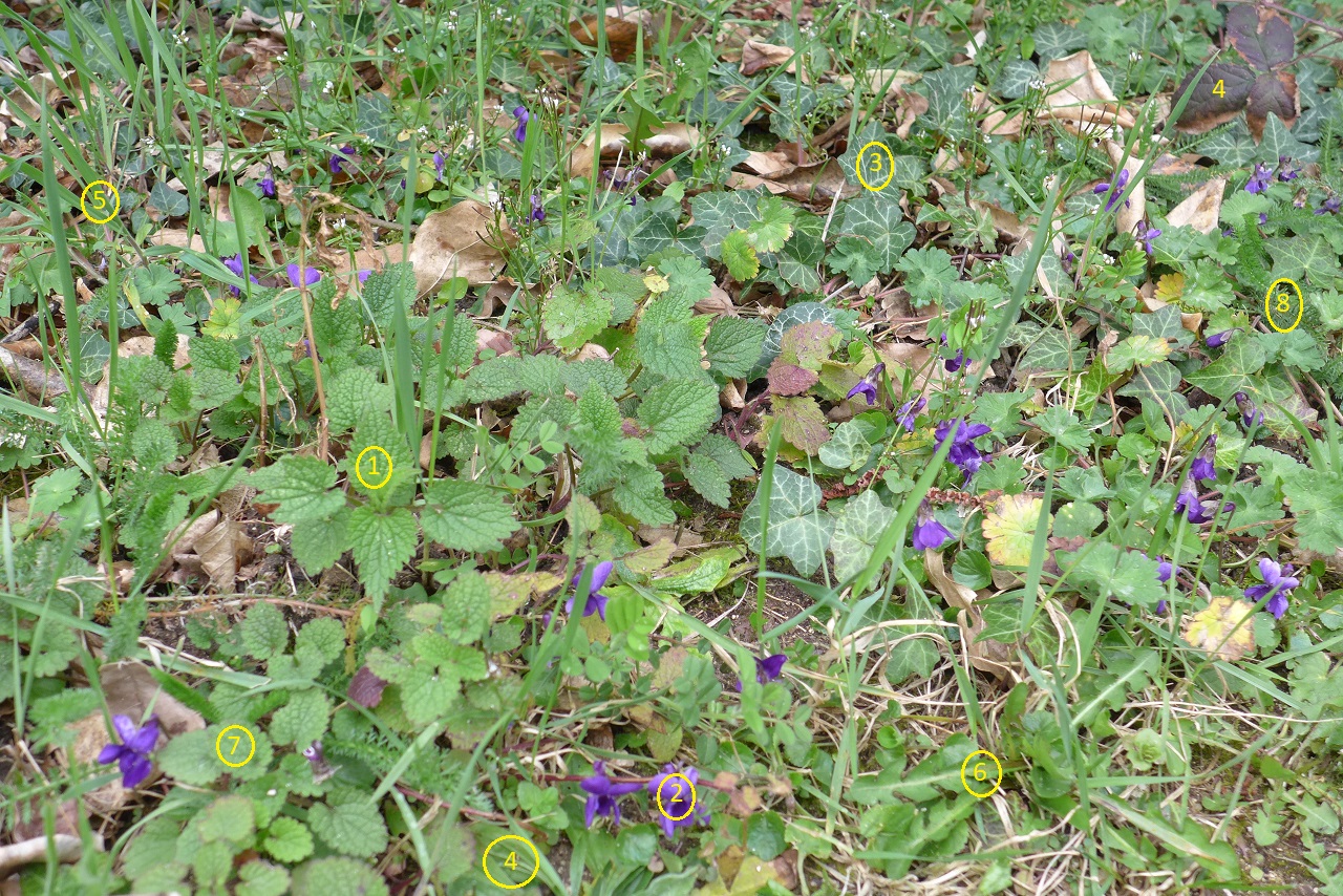 Annexe chemin JPC.jpg