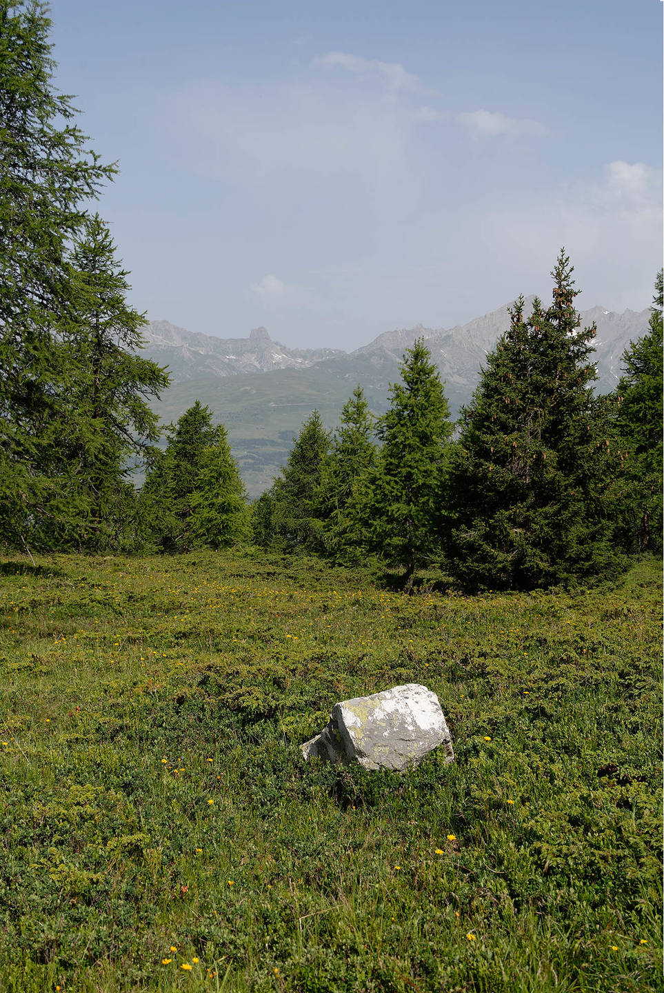 Annexe _DSC0923_DxO_10-fusion.jpg