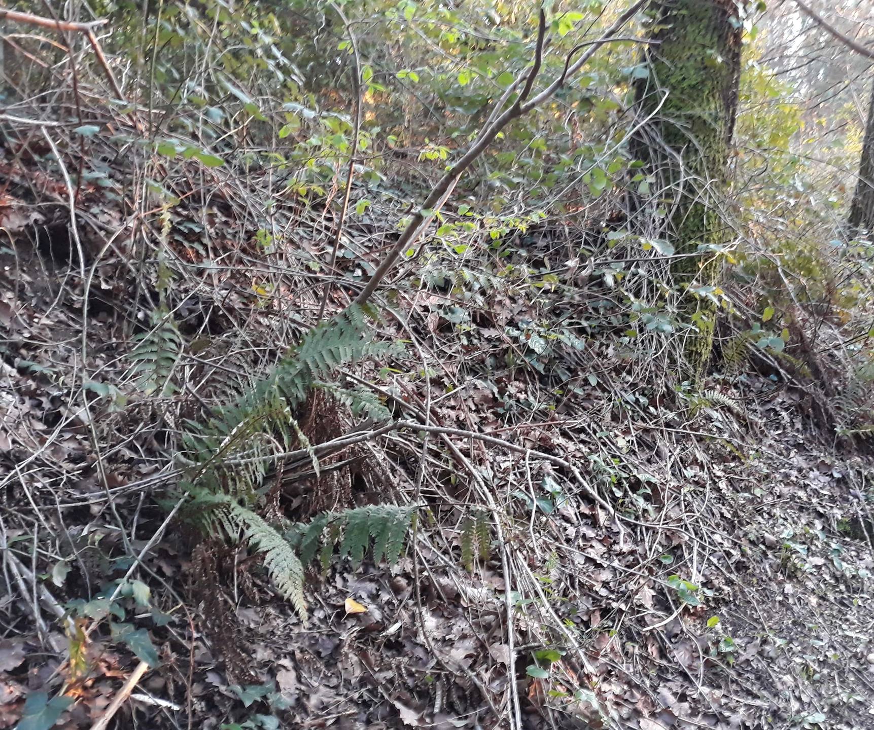 Annexe 20180329_200037-min.jpg