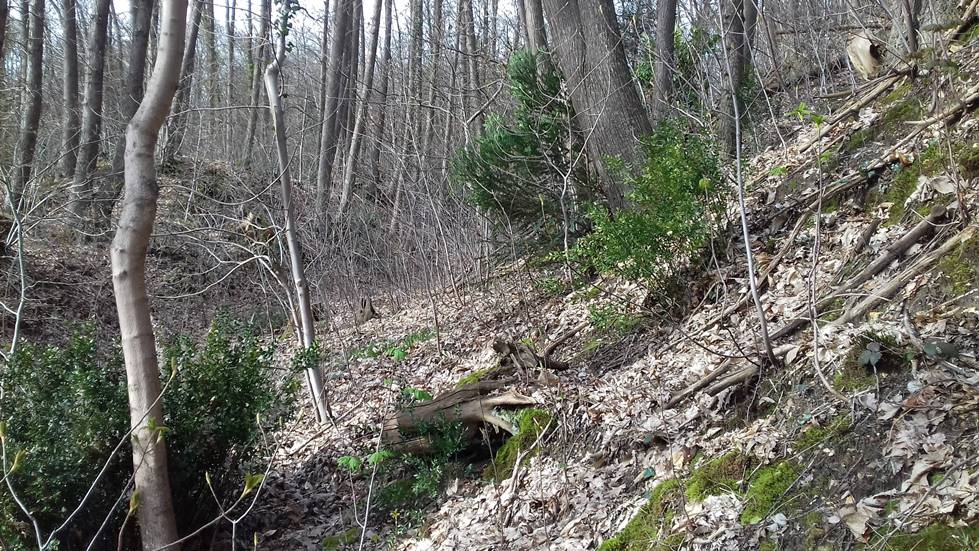 Annexe received_10155143788986286.jpeg