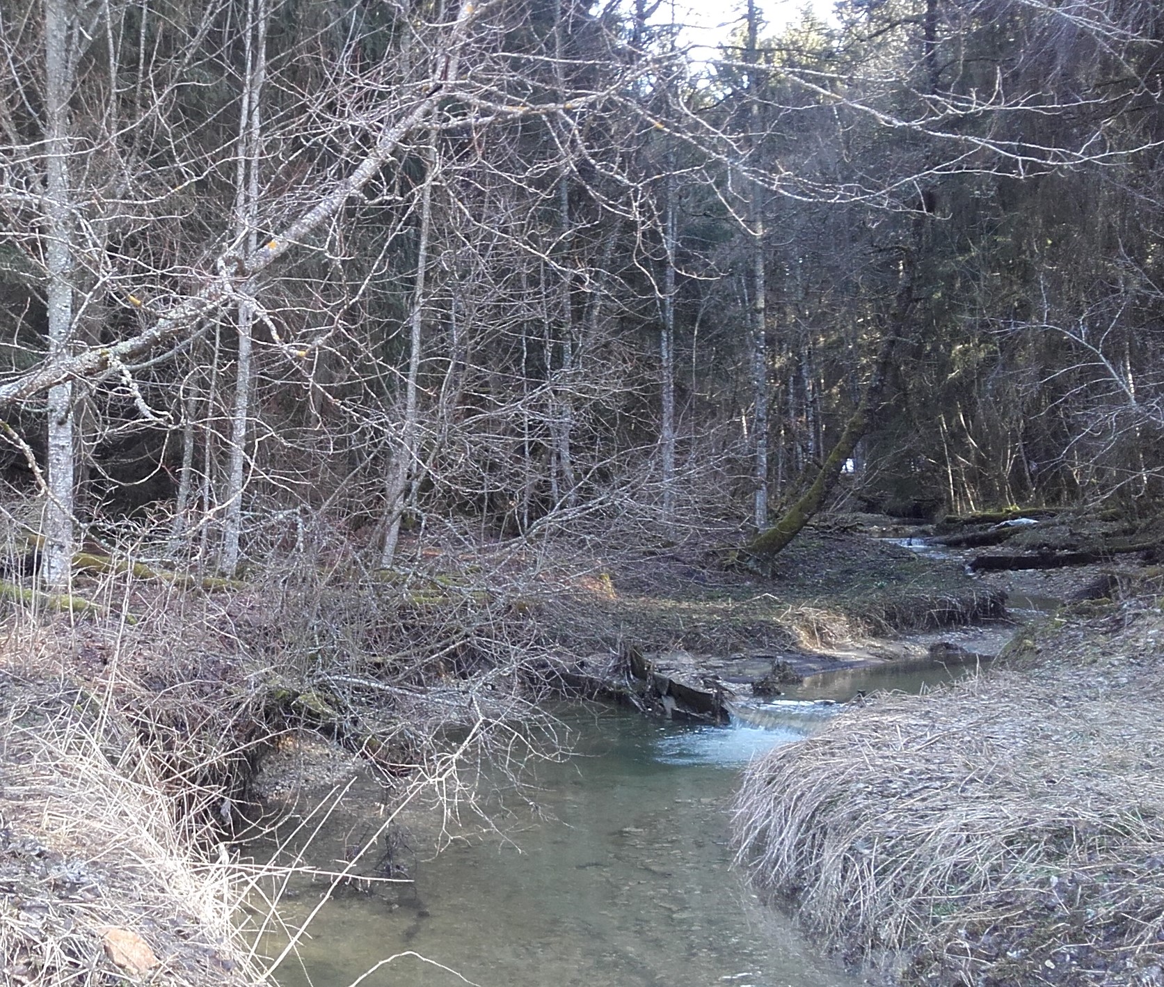 Annexe 20180330_091322.jpg