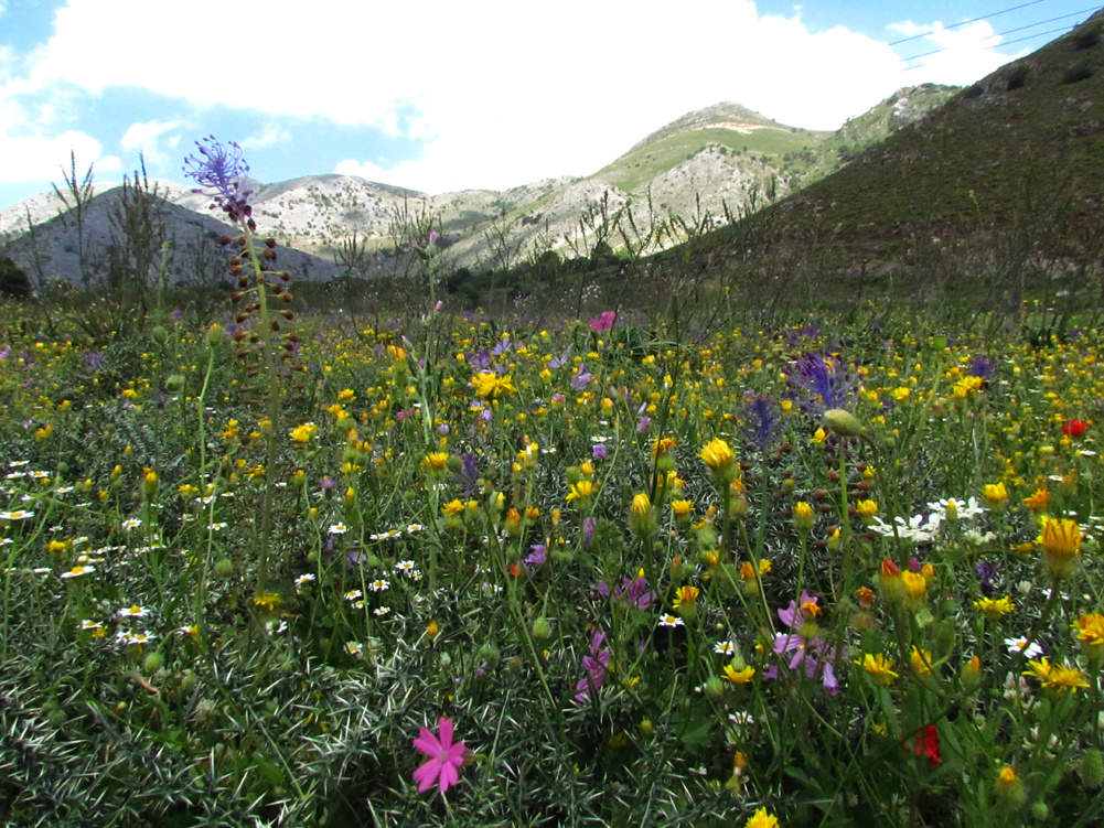 Annexe 2013-05-12_IMG_0462.jpg