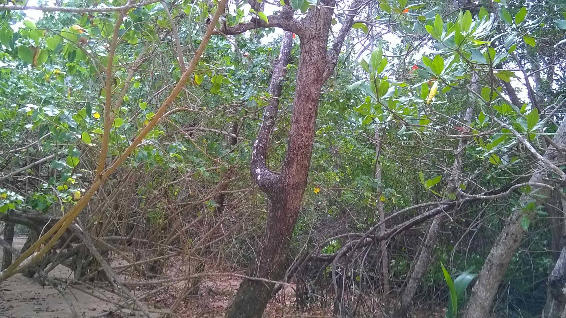 Annexe WP_20180331_021-ConvertImage.jpg