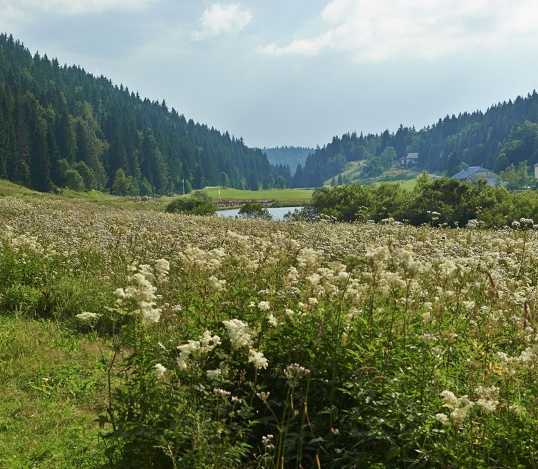 Annexe jura-lac-de-lamoura-1024x681.jpg