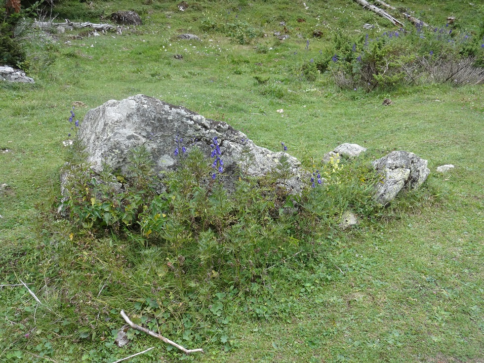 Annexe DSC05221_redux.jpg