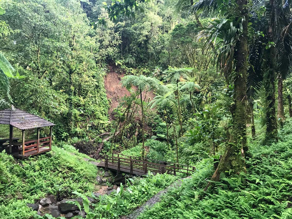 Annexe Cascade-du-gendarme-Martinique.jpg