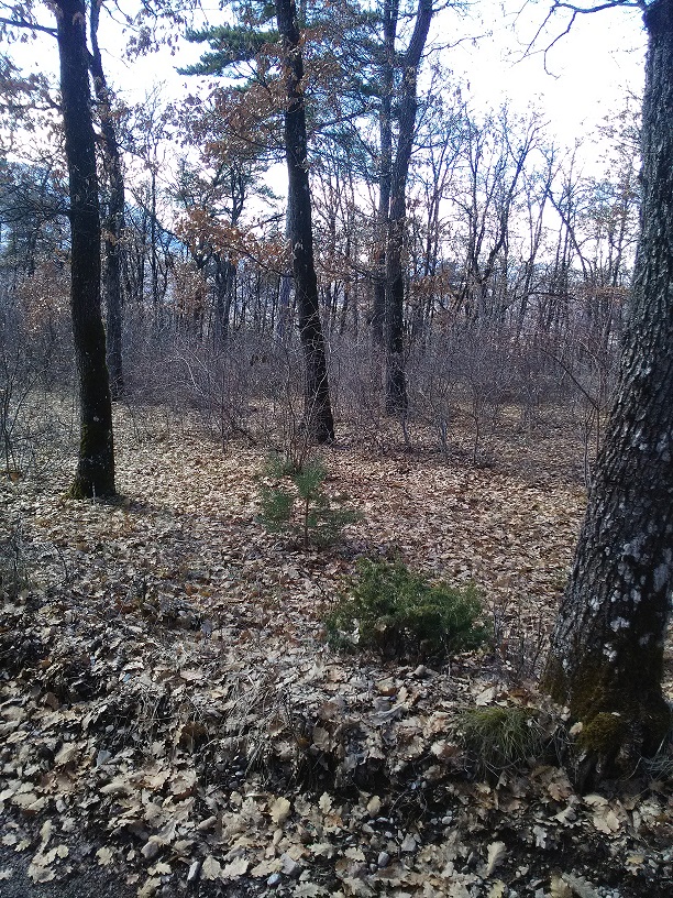 Annexe IMG_20180331_160420.jpg