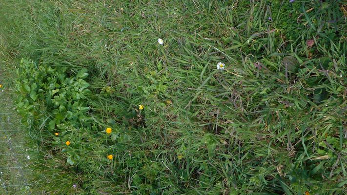 Annexe DSCN2019-1.jpg