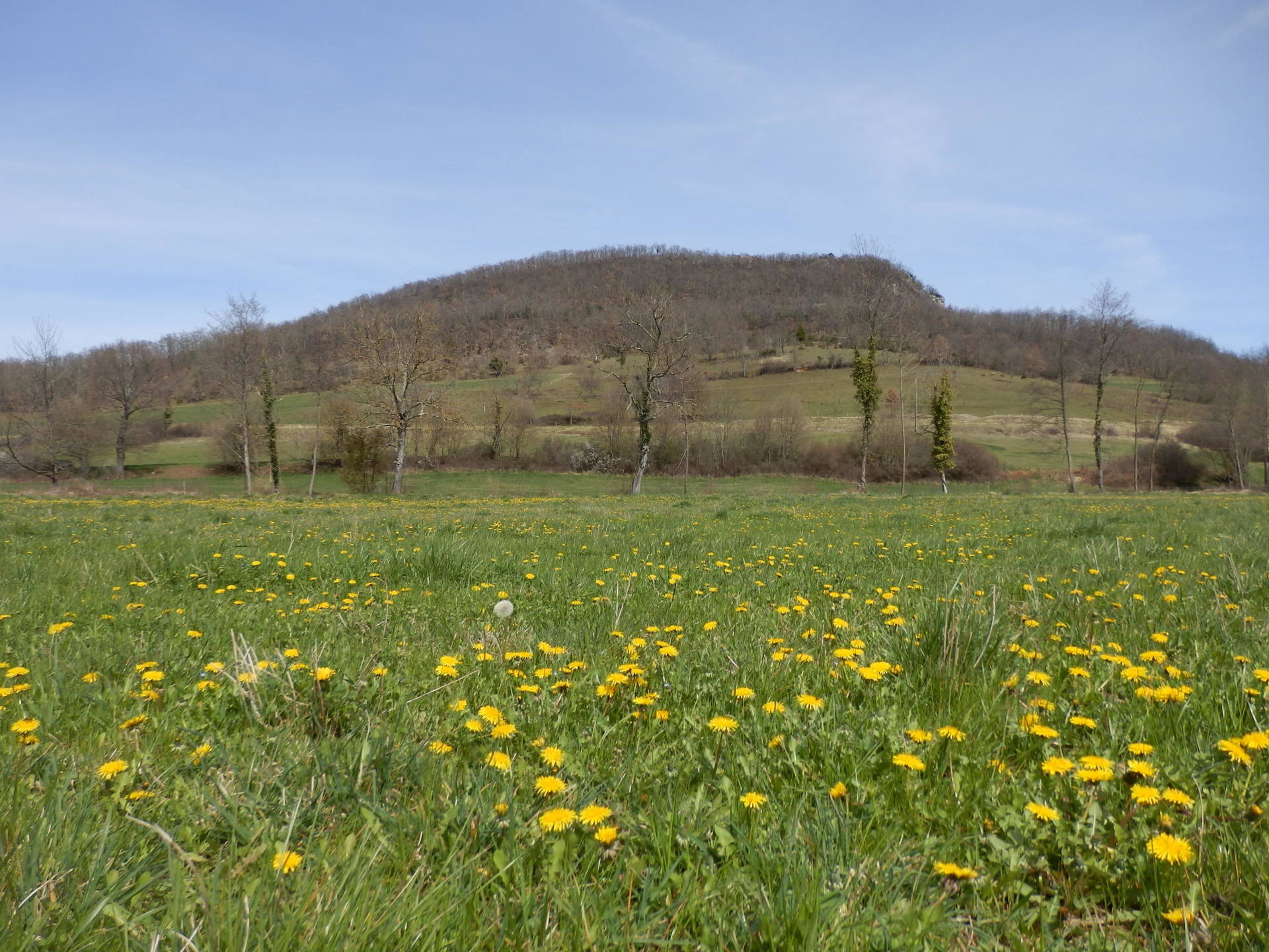 Annexe P4010081-ConvertImage.jpg