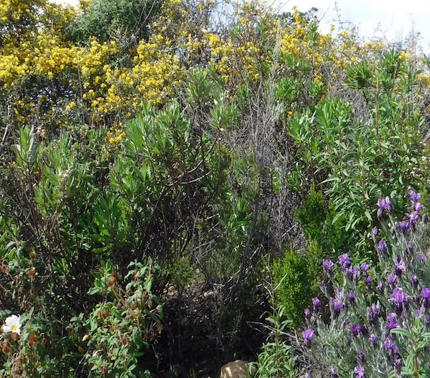 Annexe Capture d’écran 2018-04-01 à 15.54.48.png