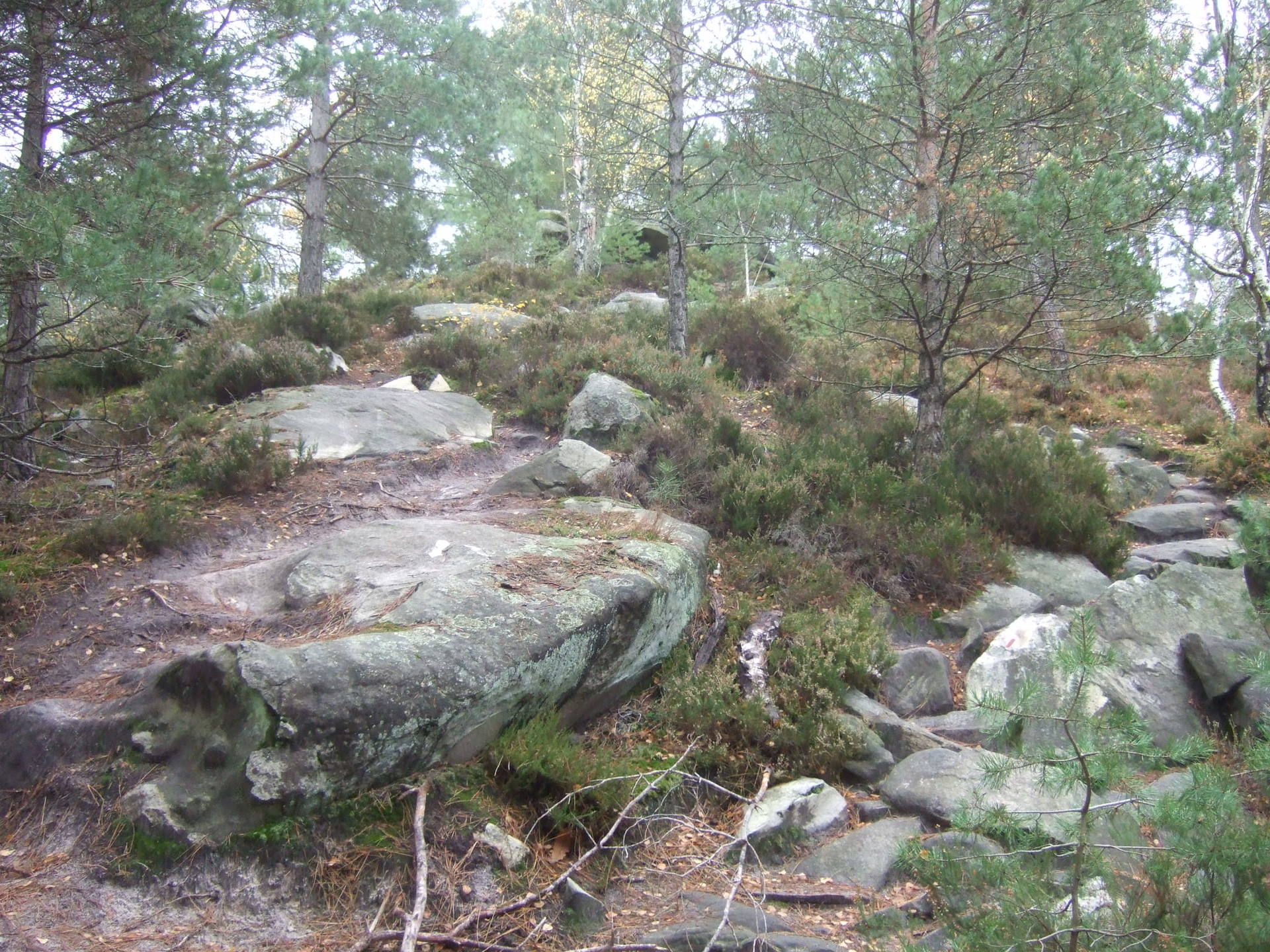 Annexe Versant W Roche au Four.JPG