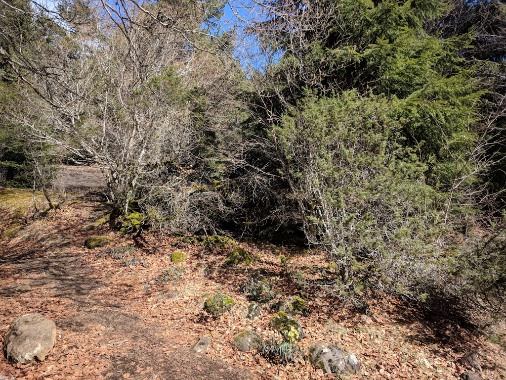 Annexe PSX_20180401_201854.jpg