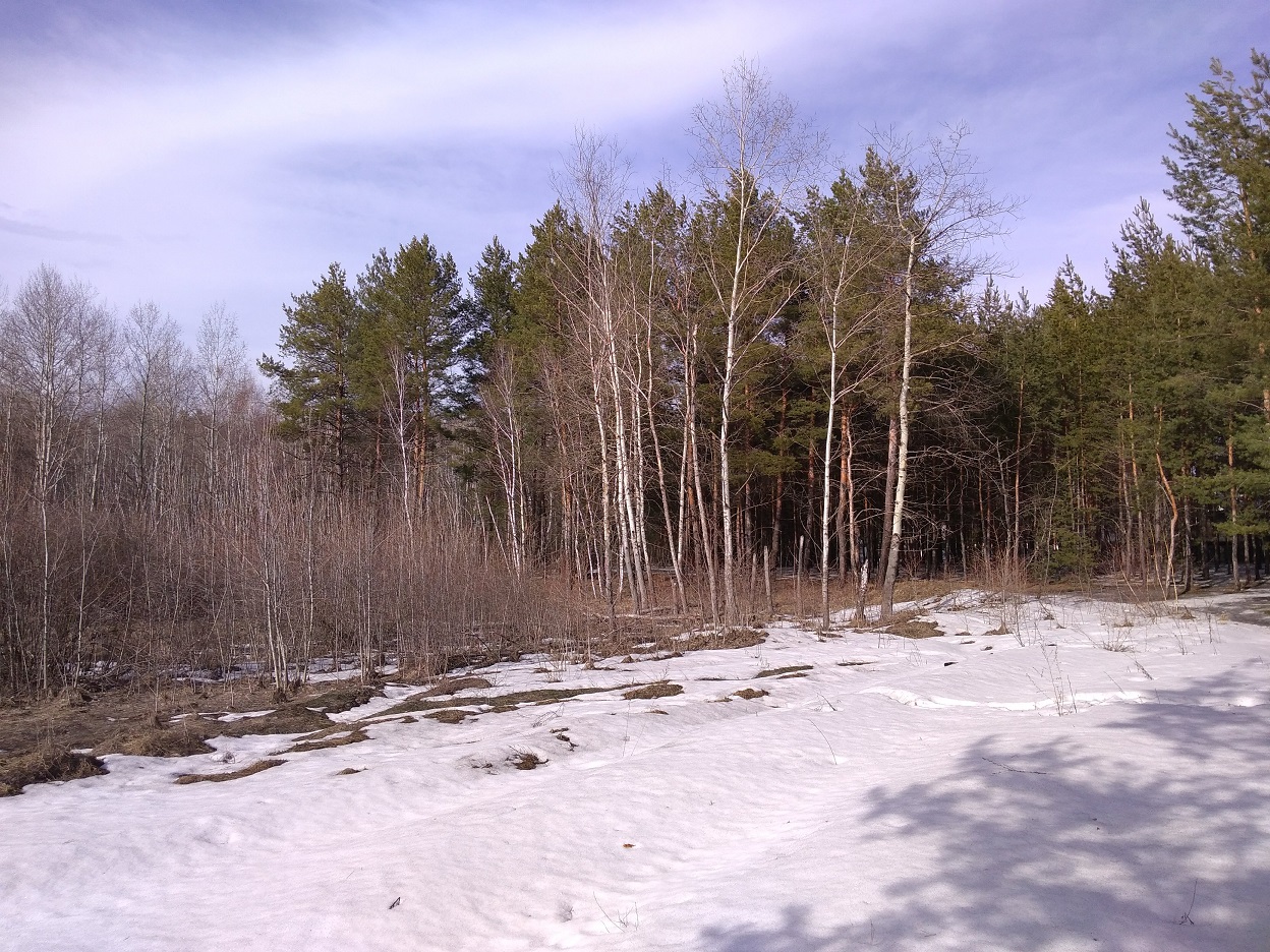 Annexe P_20180401_160324 T.jpg