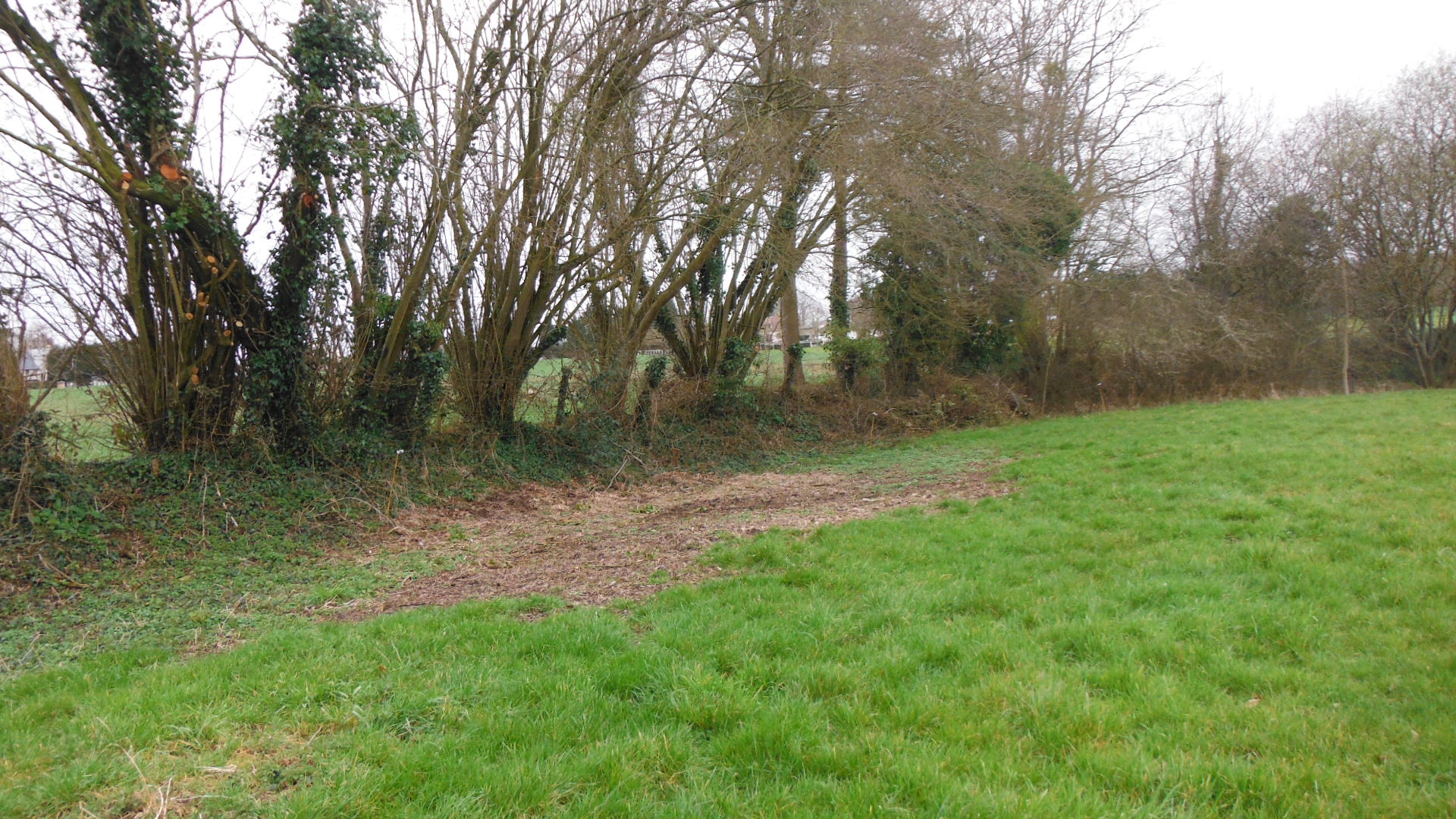 Annexe talus haie.JPG