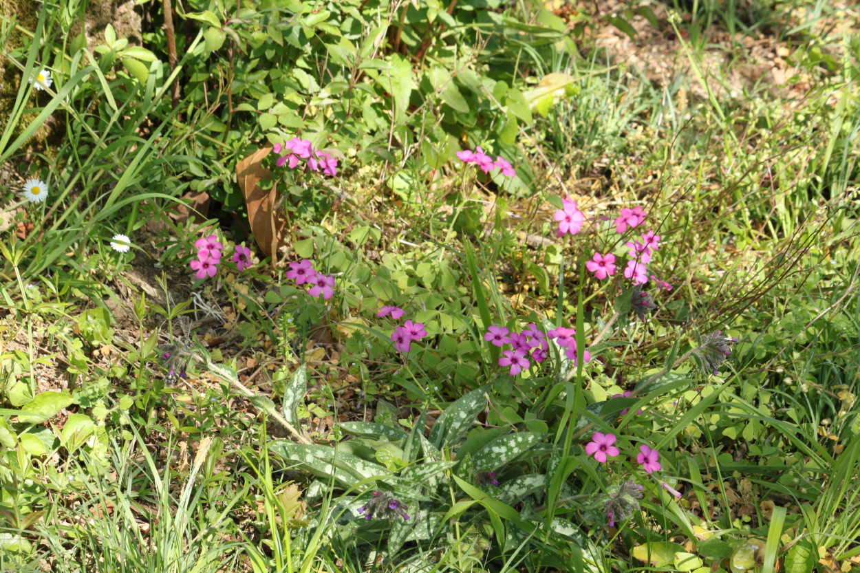 Annexe divers_0001(2).JPG