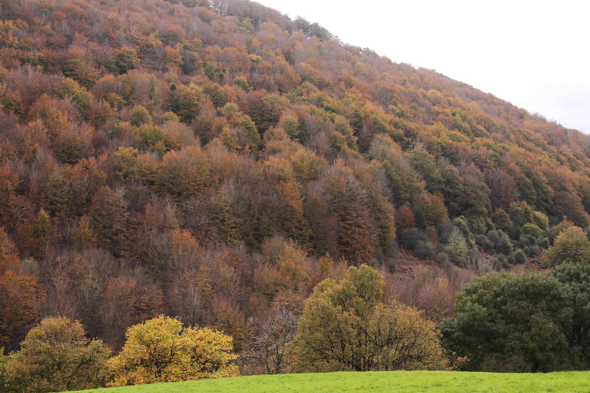 Annexe Montana 4 B.jpg