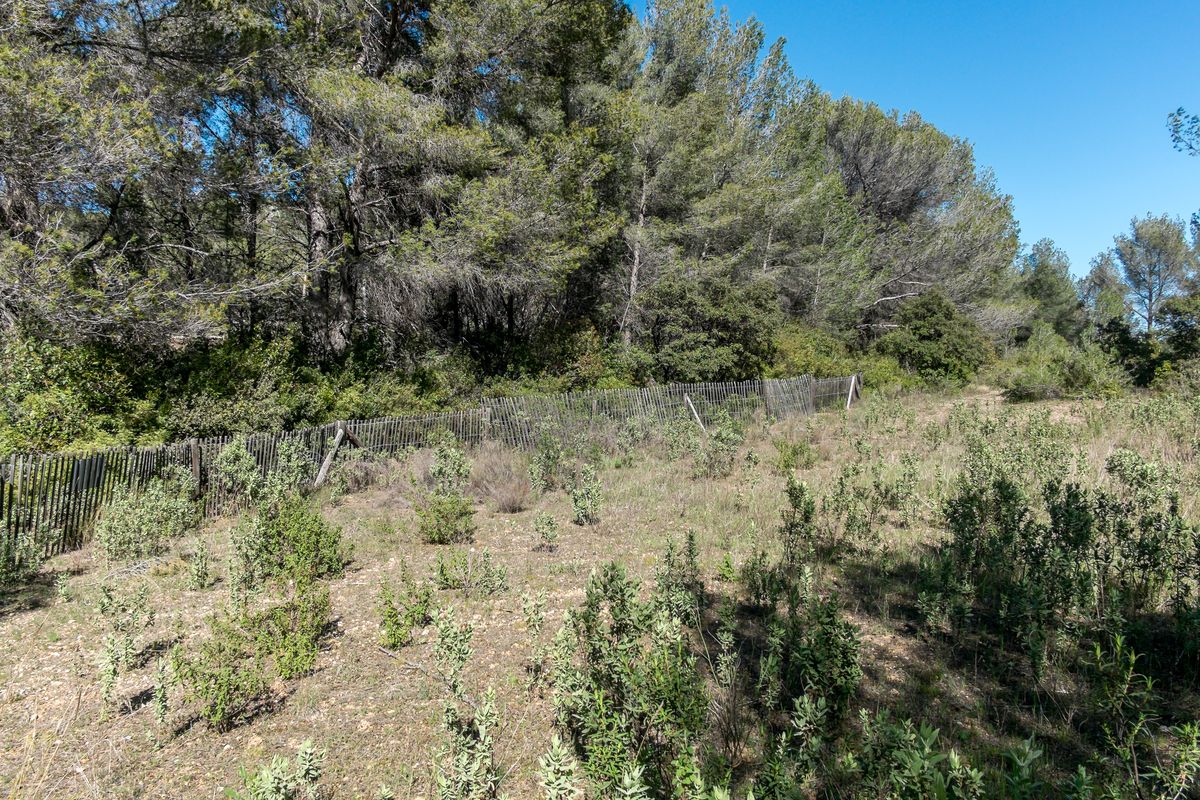 Annexe 18 04 01 026 Autour de la Nartette Saint-Cyr-sur-Mer.jpg