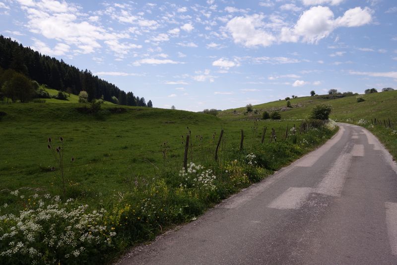 Annexe DSC03280 [800x600].JPG