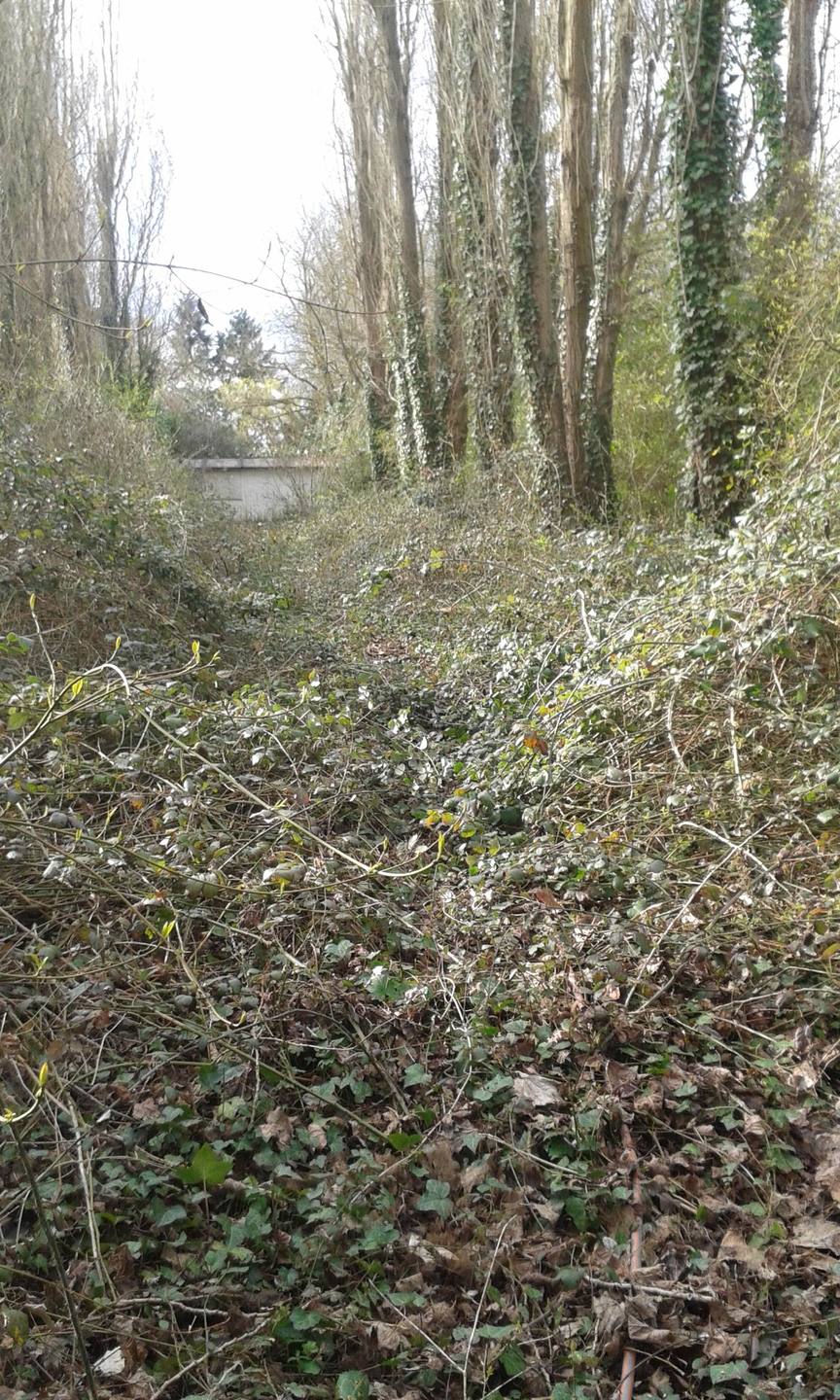 Annexe 20180402_101254bis.jpg