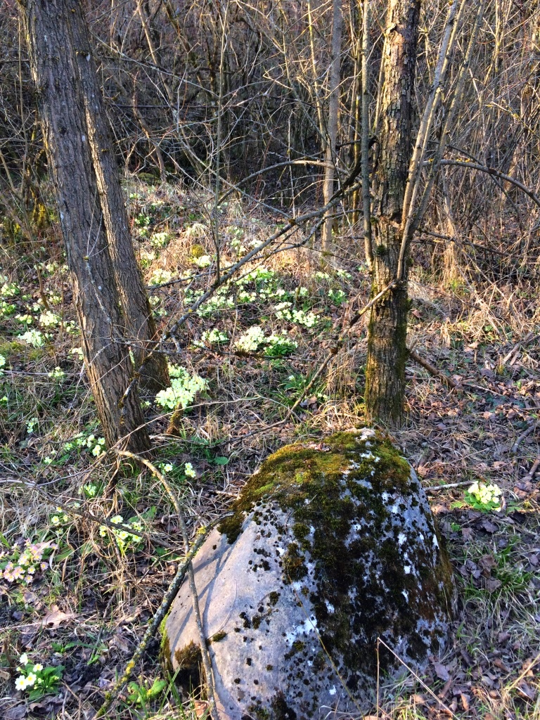 Annexe Biodiversite_Russin.jpg