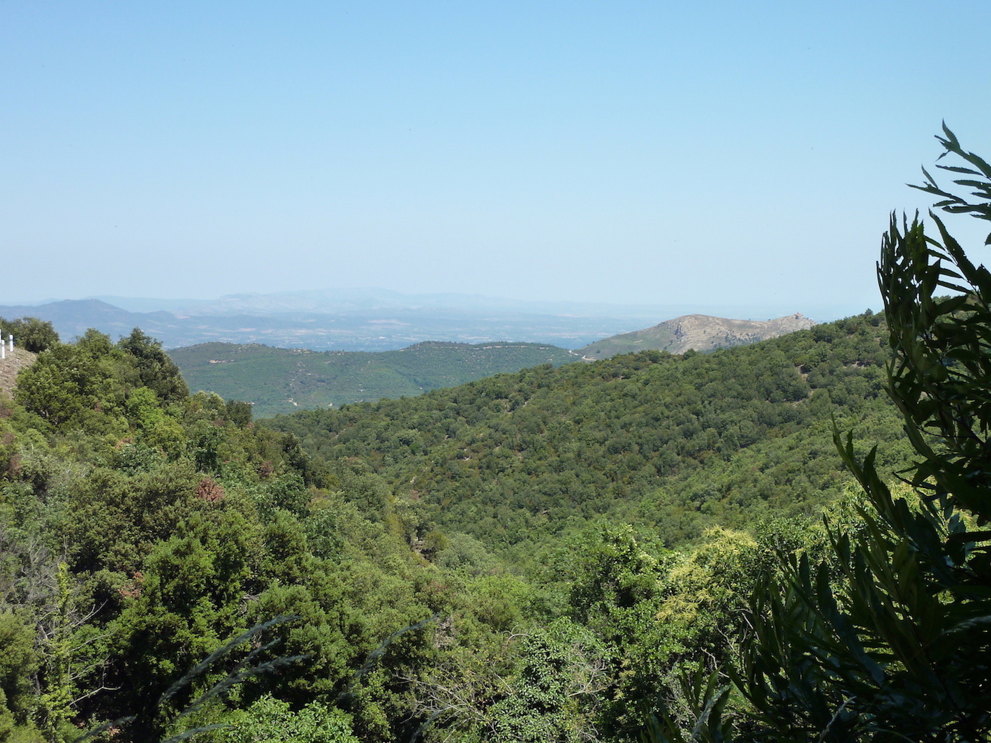 Annexe Garrigue au dessus de la plaine du Roussillon.JPG