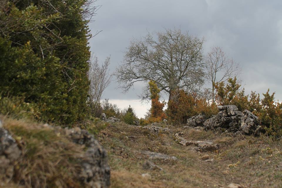 Annexe 29694442_1927729133918565_6263580864683230320_n.jpg