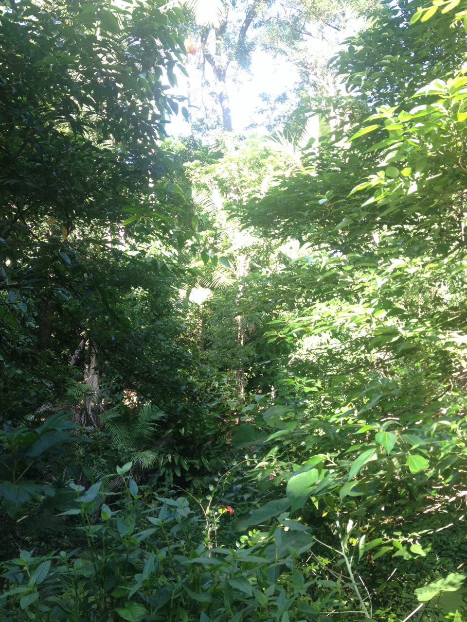 Annexe photo_2018-04-03_16-22-48.jpg