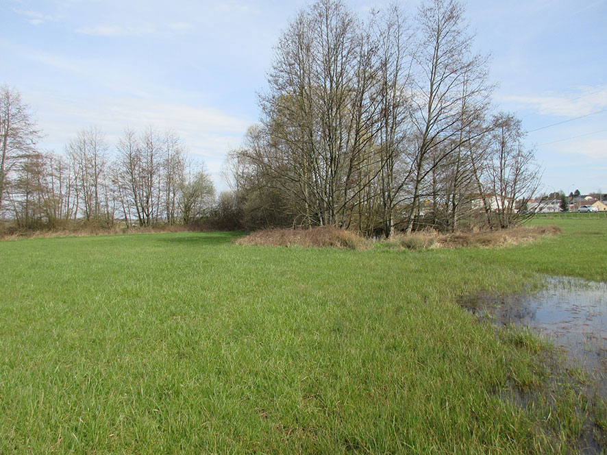 Annexe mooc_aulnes_opt.jpg