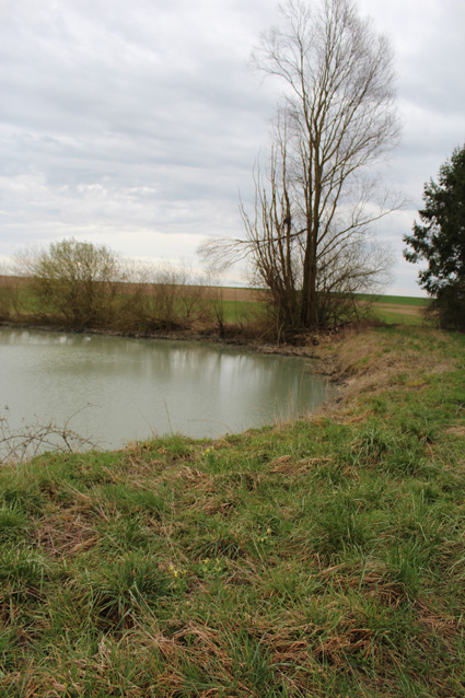 Annexe étang à Elise-Daucourt (51) France.jpg