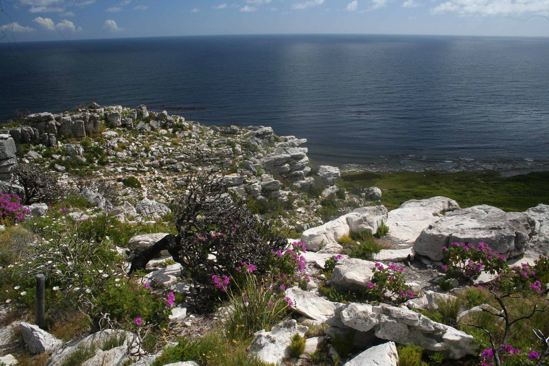 Annexe Péninsule du Cap de Bonne Espérance.jpg