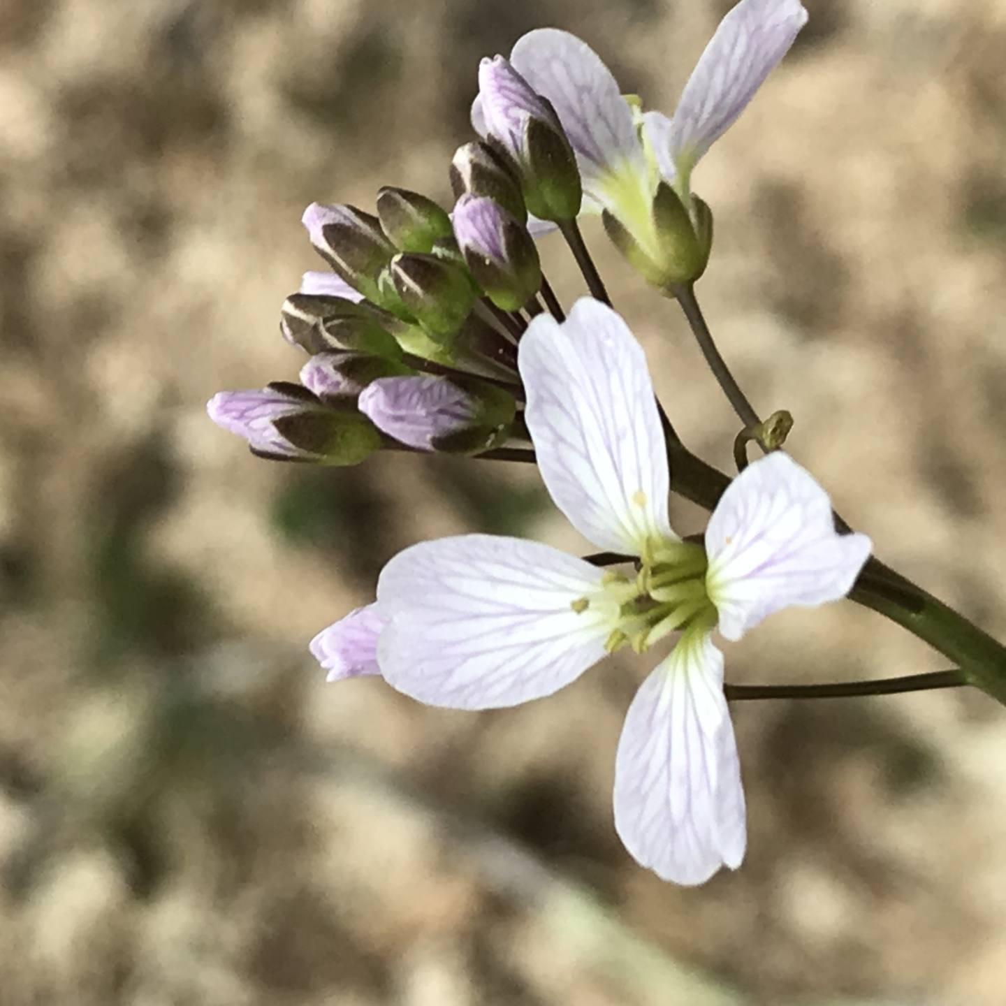 Annexe F365F6E1-7933-4441-80B5-5B254B52331B.jpeg