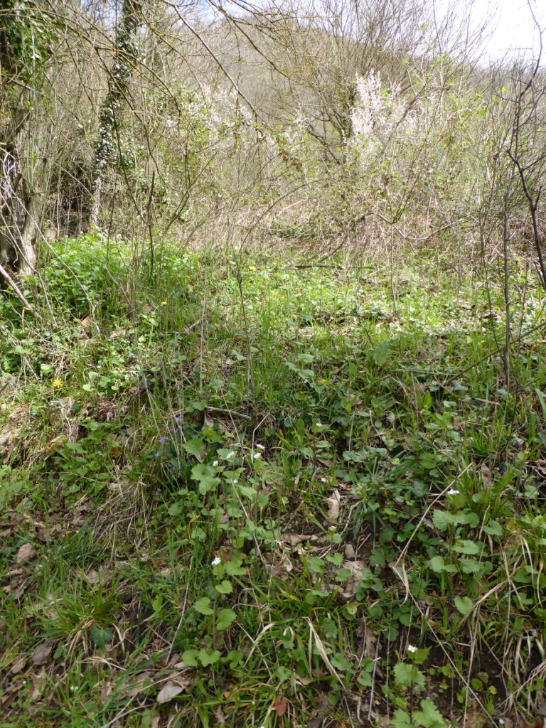 Annexe Biodiversité Arnave.JPG