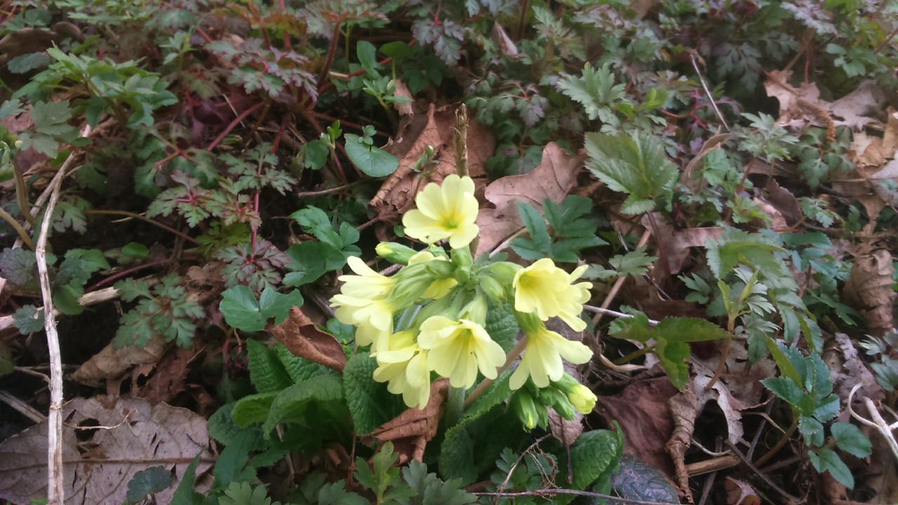 Annexe thumbnail_DSC_0003 (1).jpg