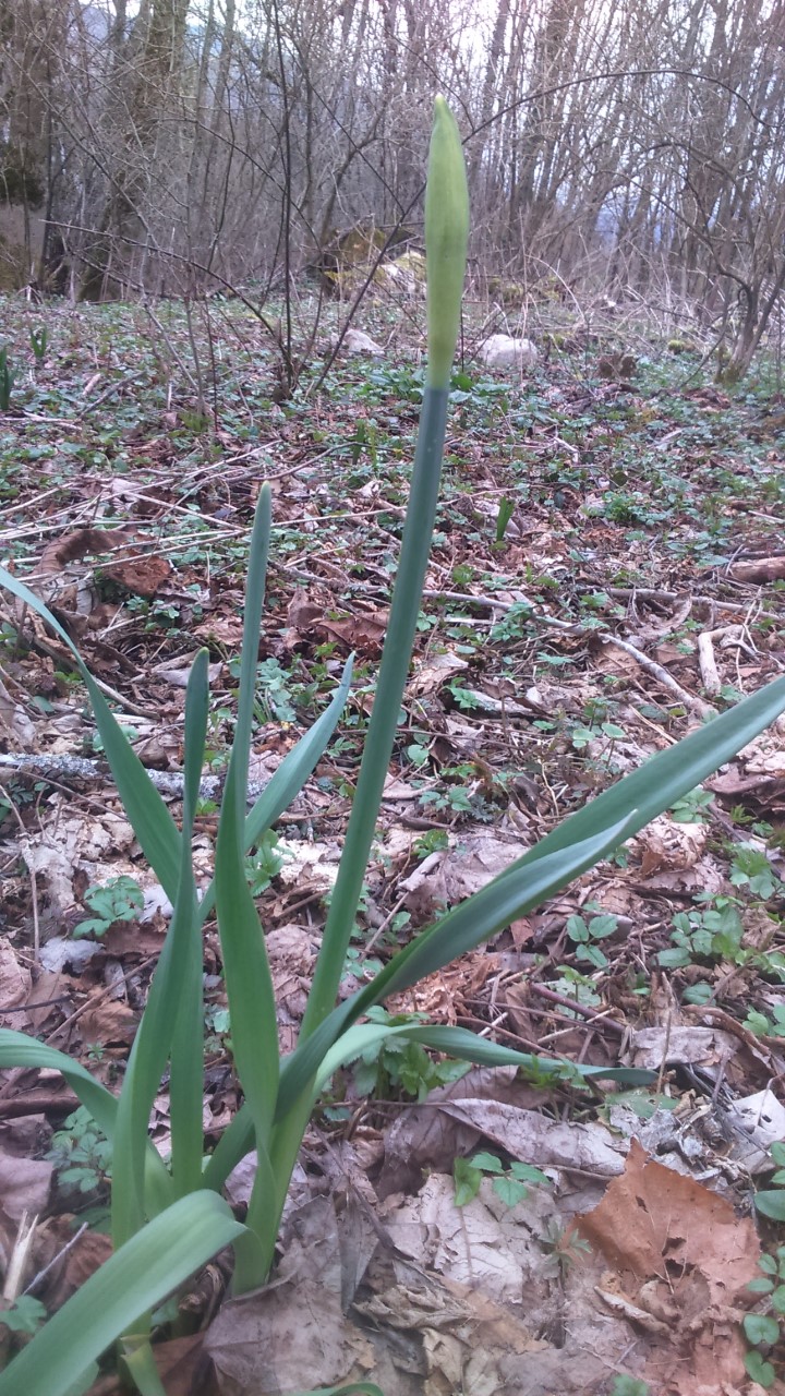 Annexe thumbnail_DSC_0005.jpg