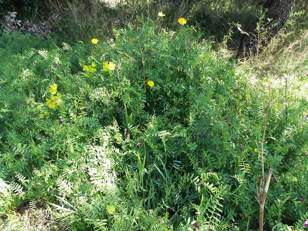 Annexe photo bio diversite.jpg