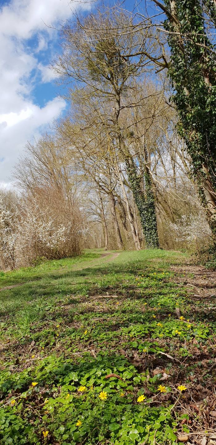 Annexe 20180404_143114.bis.jpg