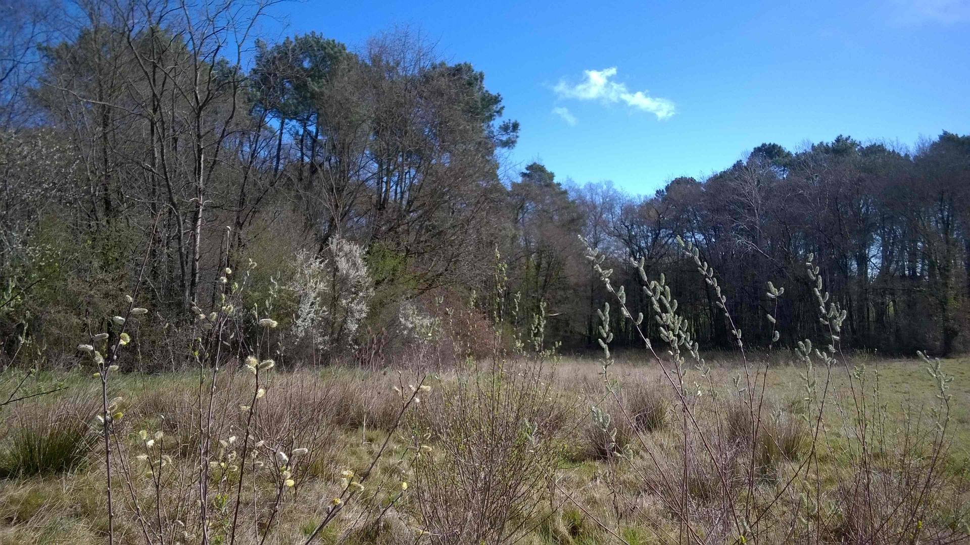 Annexe WP_20180404_005.jpg