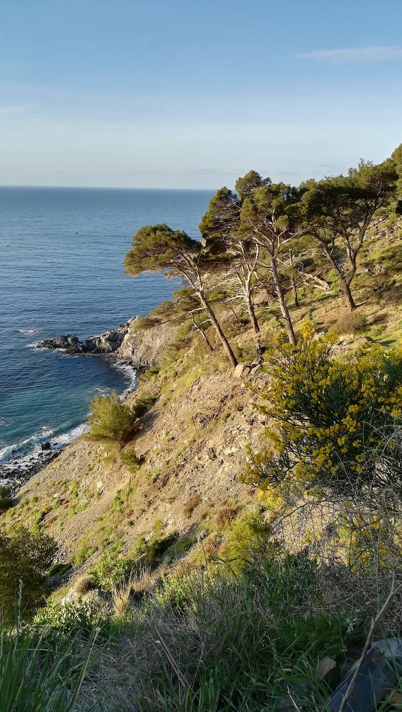 Annexe IMG_20180402_080921.jpg