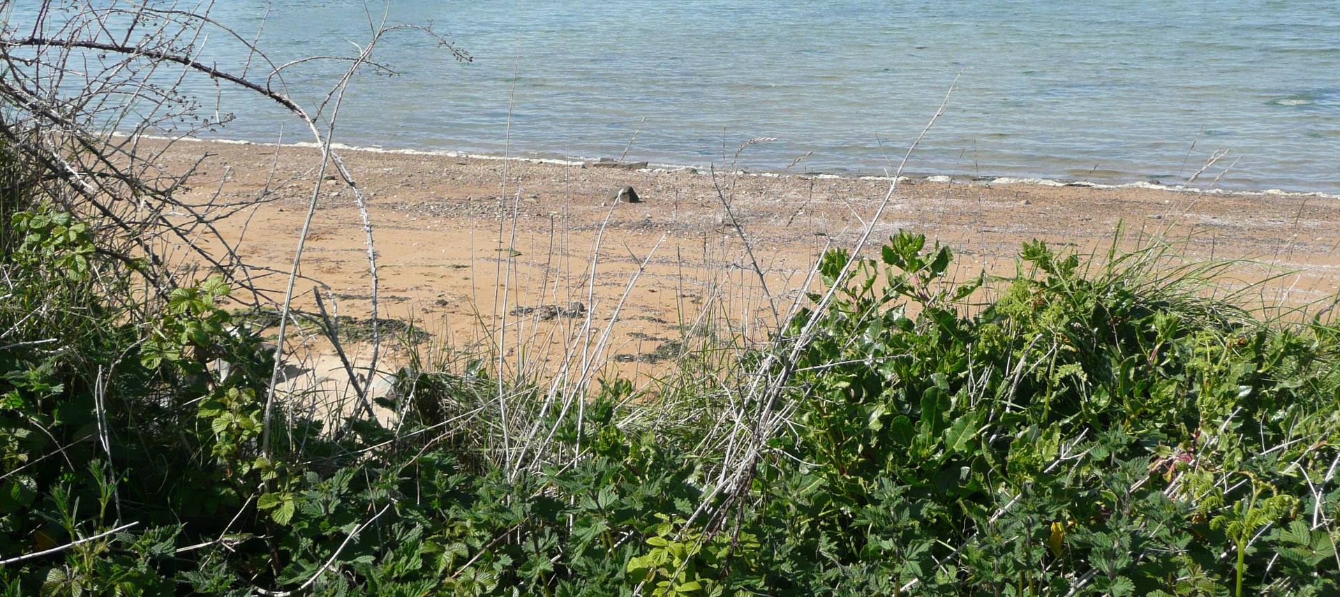 Annexe Mai 2016 Bretagne  Trégor light2.jpg