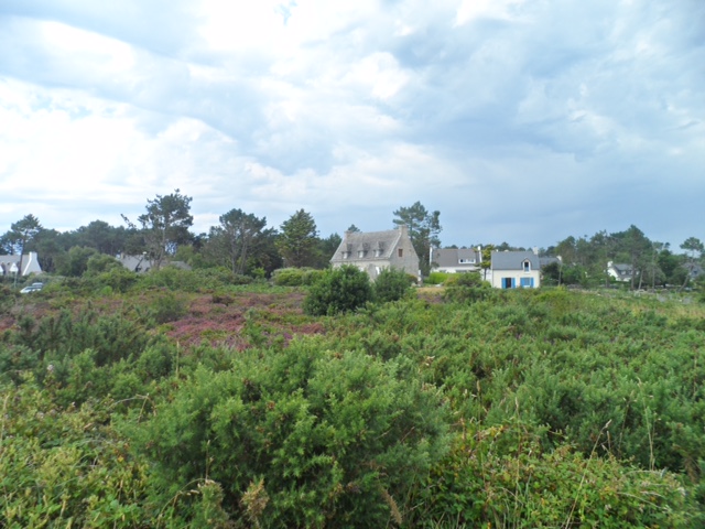 Annexe FC1BCBF6-93EA-473D-A7ED-A6F15A7076B6.jpeg