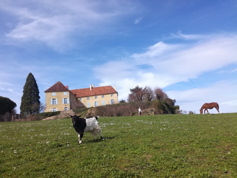 Annexe Paysage Asnois.jpg