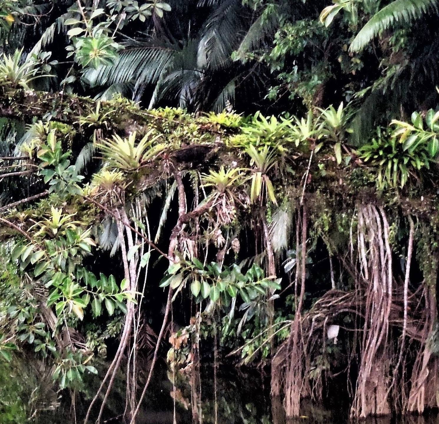 Annexe DSCN5233zxx.jpg