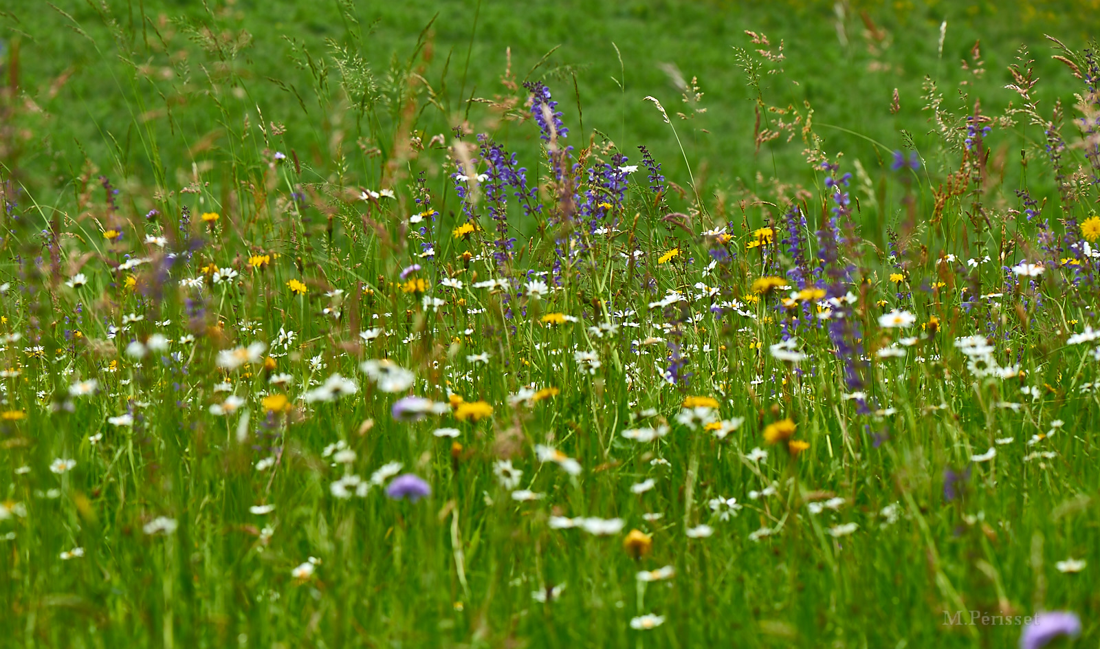 Annexe 27226121960_4acaac6bb7_o.jpg