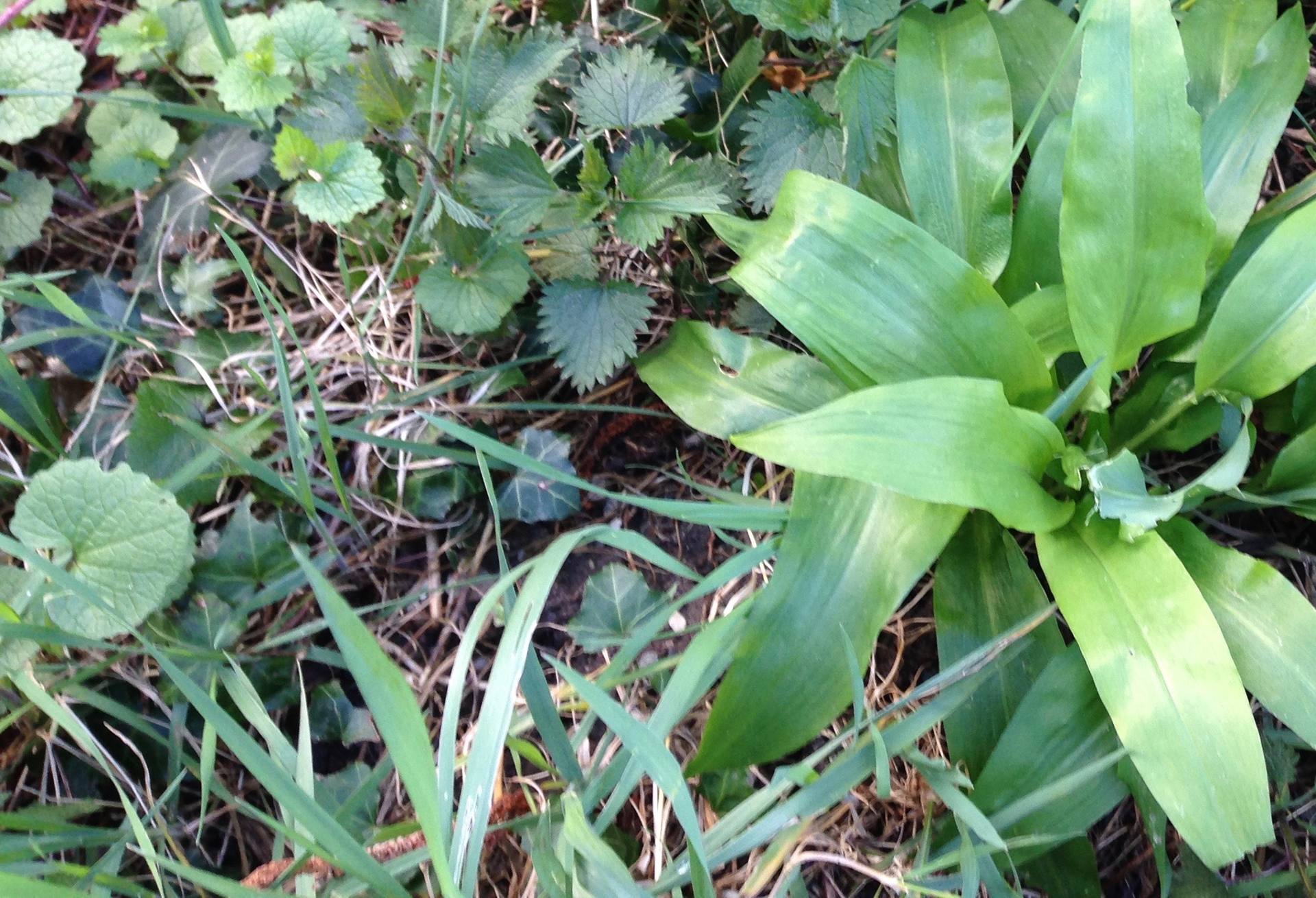 Annexe IMG_3653 2.jpg