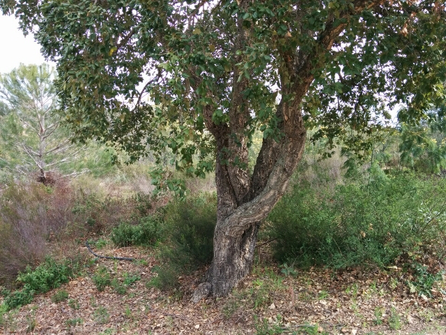 Annexe IMG_20180402_154701_20180405211322061.jpg