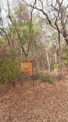 Annexe 30020471_1955712341167816_1891388763_n.jpg