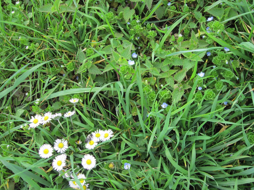 Annexe Véronique.jpg